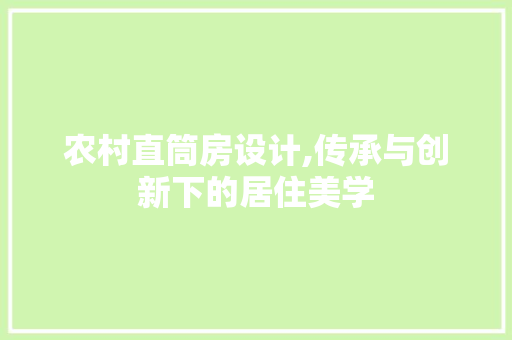 农村直筒房设计,传承与创新下的居住美学 地面装修