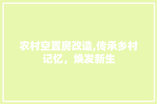 农村空置房改造,传承乡村记忆，焕发新生