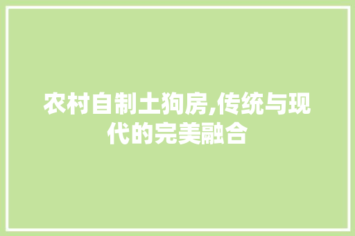 农村自制土狗房,传统与现代的完美融合 庭院装修