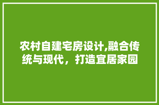 农村自建宅房设计,融合传统与现代，打造宜居家园