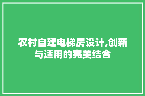 农村自建电梯房设计,创新与适用的完美结合