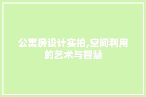 公寓房设计实拍,空间利用的艺术与智慧
