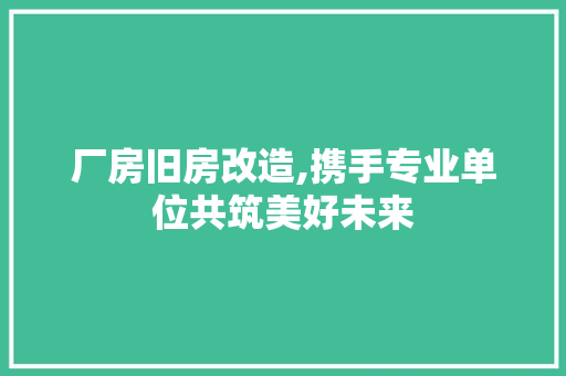 厂房旧房改造,携手专业单位共筑美好未来 隔断设计