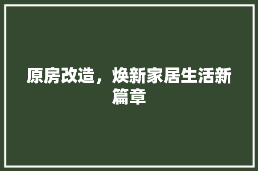 原房改造，焕新家居生活新篇章 装修材料