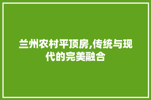 兰州农村平顶房,传统与现代的完美融合 地面装修