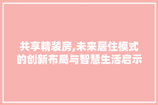 共享精装房,未来居住模式的创新布局与智慧生活启示