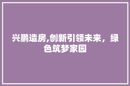 兴鹏造房,创新引领未来，绿色筑梦家园