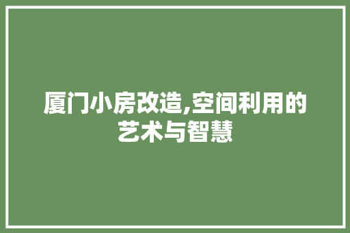 厦门小房改造,空间利用的艺术与智慧