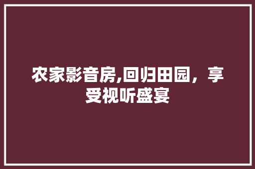 农家影音房,回归田园，享受视听盛宴