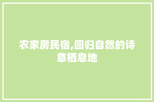 农家房民宿,回归自然的诗意栖息地 装修材料 农家房民宿,回归自然的诗意栖息地 装修材料