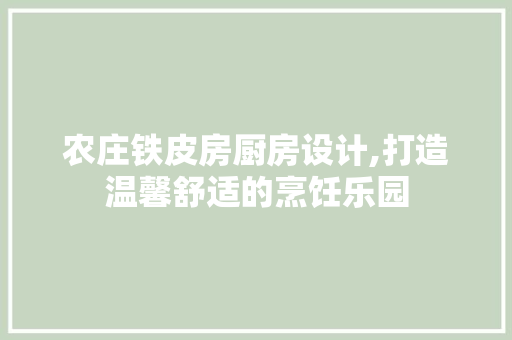 农庄铁皮房厨房设计,打造温馨舒适的烹饪乐园
