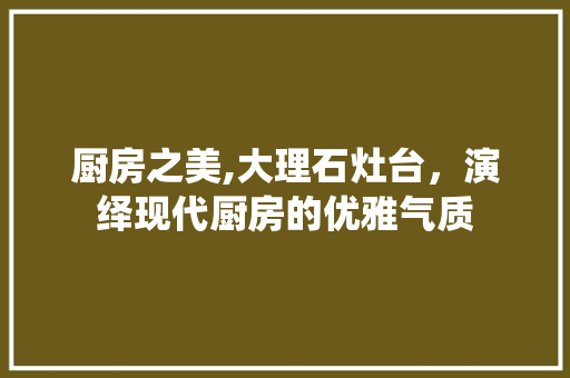 厨房之美,大理石灶台，演绎现代厨房的优雅气质