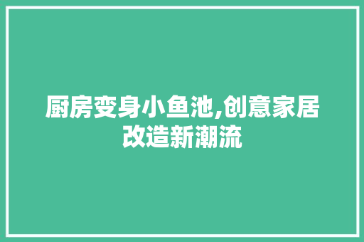 厨房变身小鱼池,创意家居改造新潮流 门窗装修