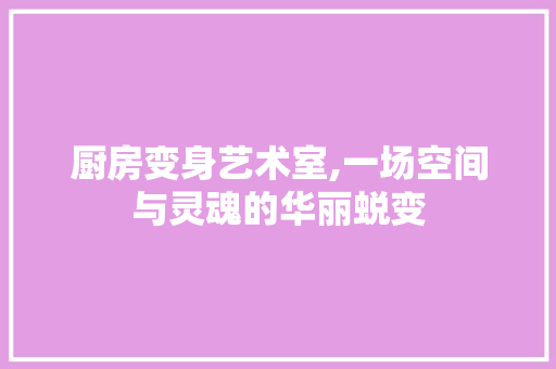 厨房变身艺术室,一场空间与灵魂的华丽蜕变 隔断设计