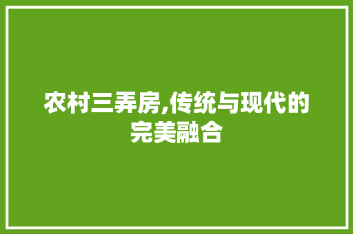 农村三弄房,传统与现代的完美融合 建筑设计