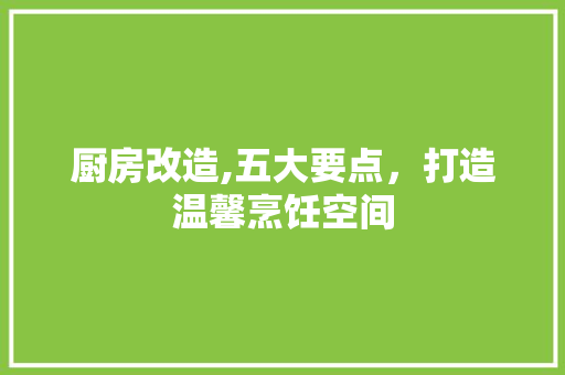 厨房改造,五大要点，打造温馨烹饪空间 门窗装修