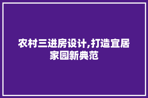 农村三进房设计,打造宜居家园新典范 装修材料