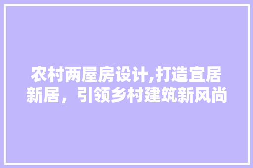 农村两屋房设计,打造宜居新居，引领乡村建筑新风尚