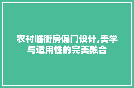 农村临街房偏门设计,美学与适用性的完美融合 装修材料