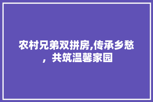 农村兄弟双拼房,传承乡愁，共筑温馨家园 庭院装修