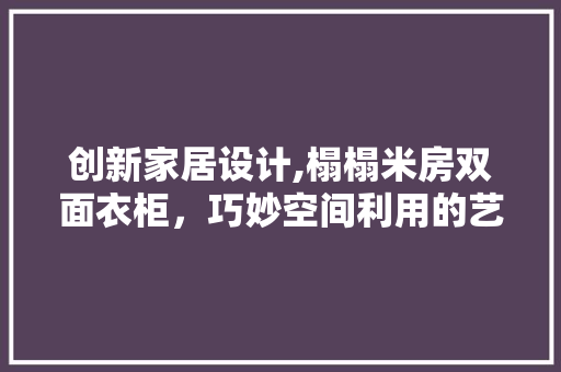 创新家居设计,榻榻米房双面衣柜，巧妙空间利用的艺术