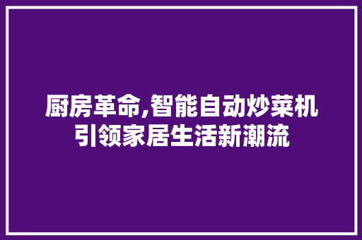 厨房革命,智能自动炒菜机引领家居生活新潮流