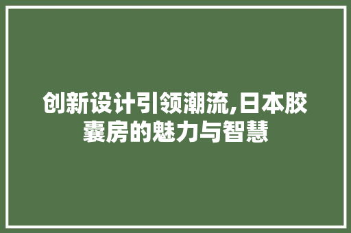 创新设计引领潮流,日本胶囊房的魅力与智慧 隔断设计