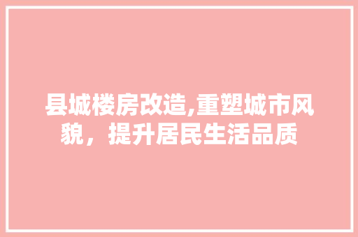 县城楼房改造,重塑城市风貌，提升居民生活品质 庭院装修