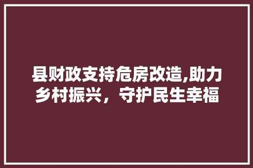 县财政支持危房改造,助力乡村振兴，守护民生幸福 装修材料