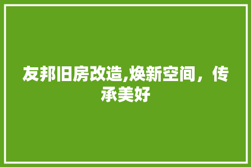 友邦旧房改造,焕新空间，传承美好 地面装修