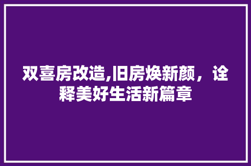 双喜房改造,旧房焕新颜，诠释美好生活新篇章