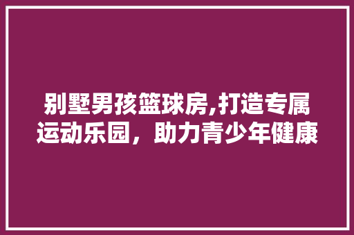 别墅男孩篮球房,打造专属运动乐园，助力青少年健康成长 景观设计