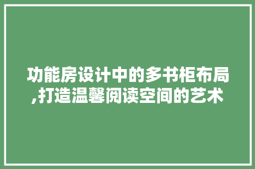 功能房设计中的多书柜布局,打造温馨阅读空间的艺术
