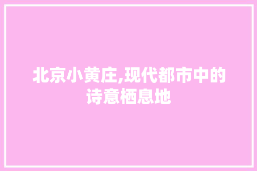 北京小黄庄,现代都市中的诗意栖息地 地面装修