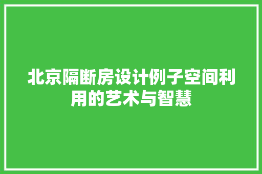 北京隔断房设计例子空间利用的艺术与智慧 地面装修