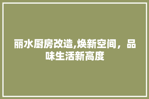 丽水厨房改造,焕新空间，品味生活新高度
