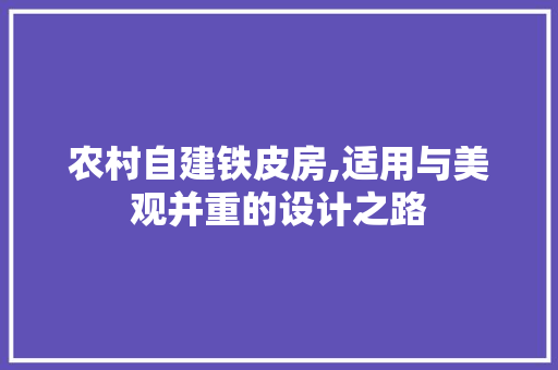 农村自建铁皮房,适用与美观并重的设计之路 装修材料