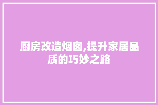 厨房改造烟囱,提升家居品质的巧妙之路