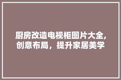 厨房改造电视柜图片大全,创意布局，提升家居美学