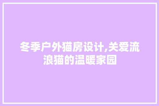 冬季户外猫房设计,关爱流浪猫的温暖家园