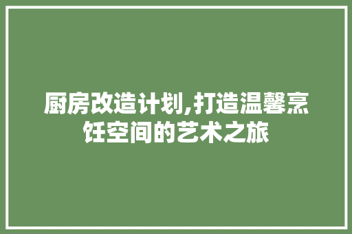 厨房改造计划,打造温馨烹饪空间的艺术之旅