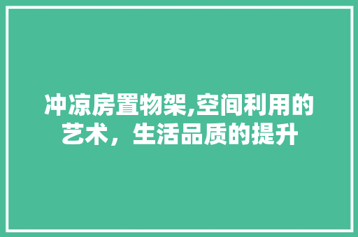 冲凉房置物架,空间利用的艺术，生活品质的提升