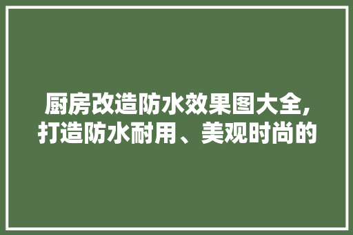 厨房改造防水效果图大全,打造防水耐用、美观时尚的厨房空间 门窗装修