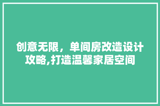 创意无限，单间房改造设计攻略,打造温馨家居空间 建筑设计