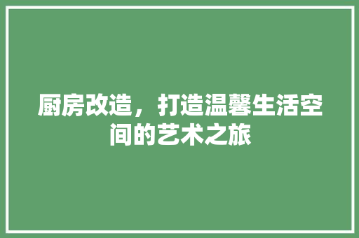 厨房改造，打造温馨生活空间的艺术之旅
