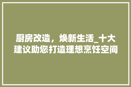 厨房改造，焕新生活_十大建议助您打造理想烹饪空间