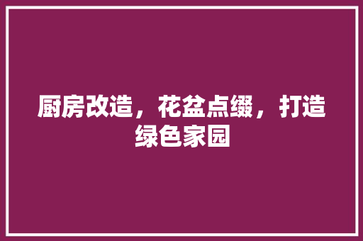 厨房改造，花盆点缀，打造绿色家园 庭院装修