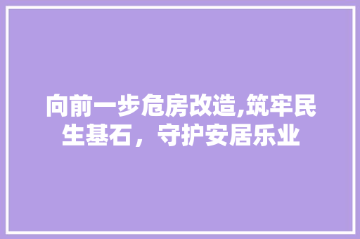 向前一步危房改造,筑牢民生基石，守护安居乐业
