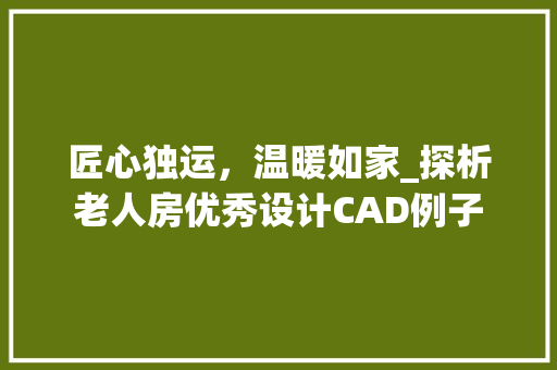 匠心独运，温暖如家_探析老人房优秀设计CAD例子