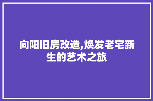 向阳旧房改造,焕发老宅新生的艺术之旅